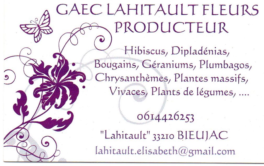 LAHITAULT FLEURS (GAEC)