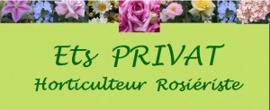 Privat - Logo