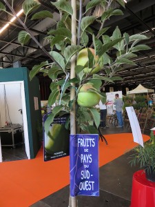 Fruitiers du Sud-Ouest - Pépinières du Val de Garonne