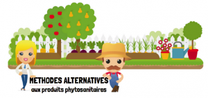 formation-méthodes-alternatives-phytosanitaires